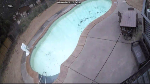 Caméra IP - États-Unis d'Amérique