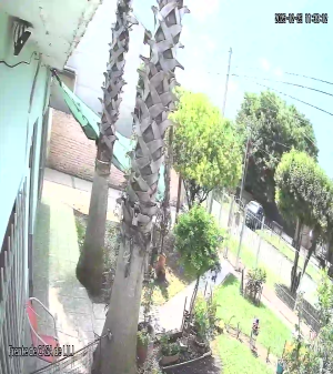 Caméra IP - Argentinien