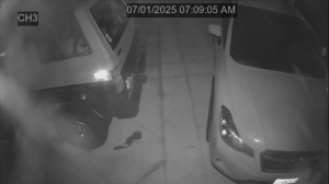 Caméra IP - United States of America