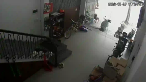 Caméra IP - Vietnam