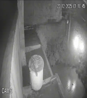 Caméra IP - Argentina