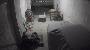 Caméra IP - Brésil