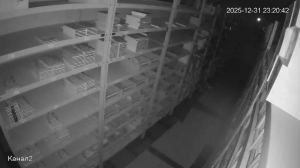 Caméra IP - Russian Federation