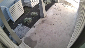 Caméra IP - Estados Unidos