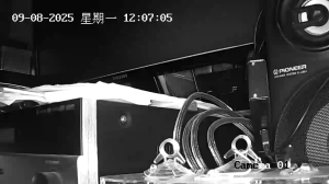 Caméra IP - China