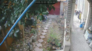 Caméra IP - Corea del Sud