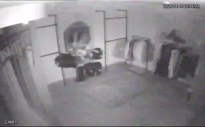 Caméra IP - Francia