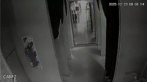 Caméra IP - Argentina