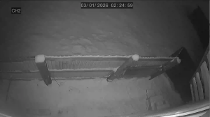 Caméra IP - Russian Federation