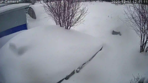 Caméra IP - Russian Federation