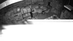 Caméra IP - Países Bajos