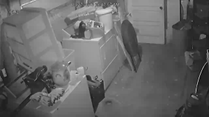 Caméra IP - Vereinigte Staaten von Amerika