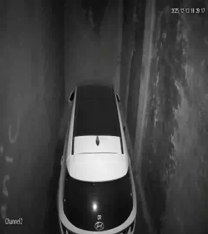 Caméra IP - Égypte