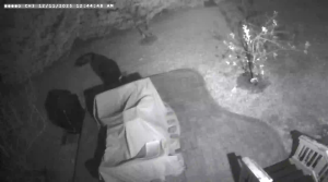 Caméra IP - United States of America