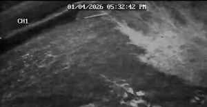 Caméra IP - États-Unis d'Amérique