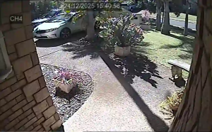 Caméra IP - Neuseeland