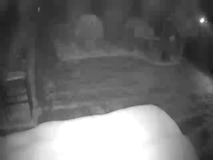 Caméra IP - Kazakhstan