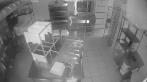 Caméra IP - Russian Federation