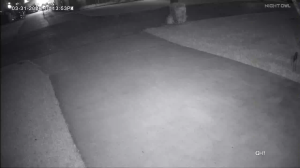 Caméra IP - United States of America