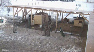 Caméra IP - Lituanie