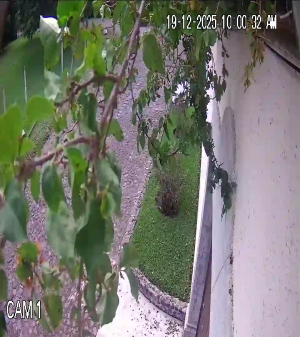 Caméra IP - Guatemala