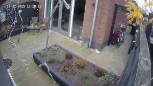 Caméra IP - Niederlande