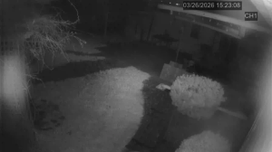 Caméra IP - Vereinigte Staaten von Amerika