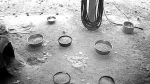 Caméra IP - États-Unis d'Amérique