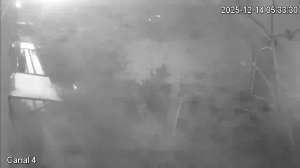 Caméra IP - Argentina