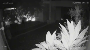 Caméra IP - Brésil