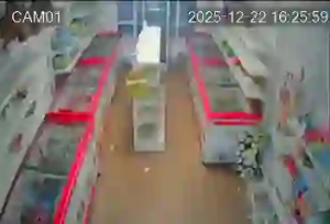 Caméra IP - Südkorea