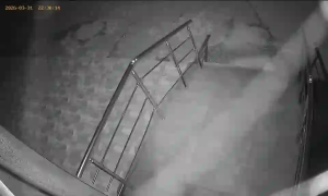 Caméra IP - Bulgaria