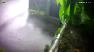 Caméra IP - Singapore