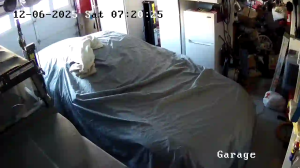 Caméra IP - United States of America