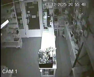 Caméra IP - Spanien