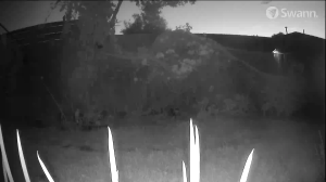 Caméra IP - Australie