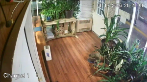 Caméra IP - United States of America