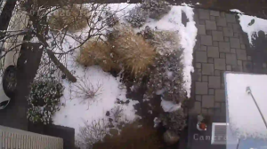 Caméra IP - Germany