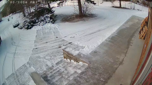 Caméra IP - Slovakia