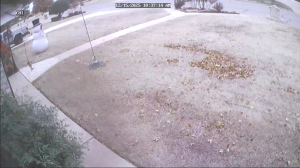 Caméra IP - Belgien