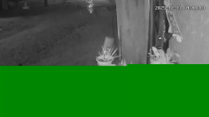 Caméra IP - États-Unis d'Amérique