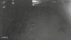 Caméra IP - Vietnam