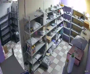 Caméra IP - Russian Federation