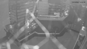 Caméra IP - Malaysia