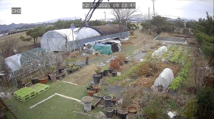 Caméra IP - Corea del Sud