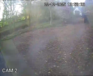 Caméra IP - Reino Unido