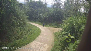 Caméra IP - Vietnam