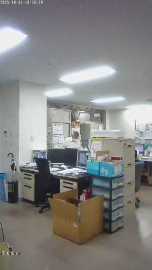 Caméra IP - Japan