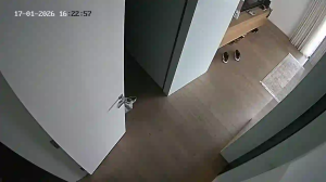 Caméra IP - Lebanon