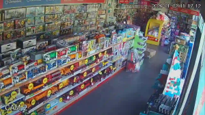 Caméra IP - Georgia